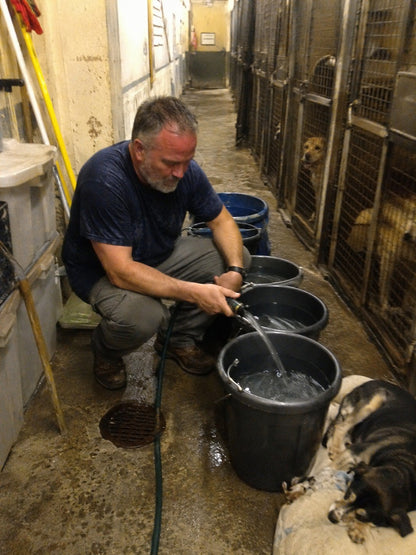 Support Our Shelter