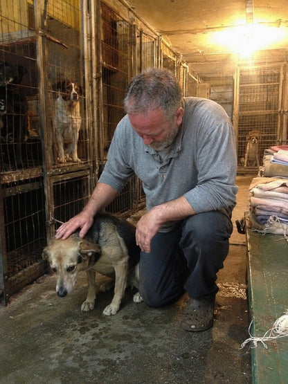 Support Our Shelter